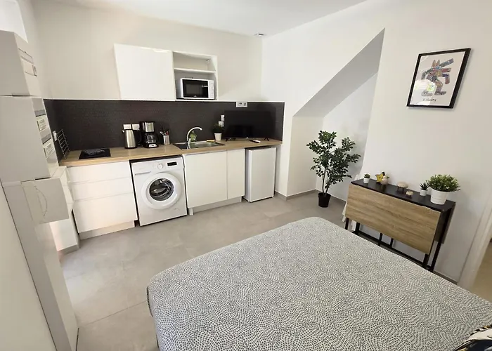 Gregbnb - 17m2 - Terrasse - Clim - Ouest - 4